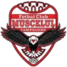 Muscelul Câmpulung Elite