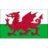 Wales U18