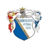 Kozarmisleny FC