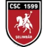 Viitorul Şelimbăr